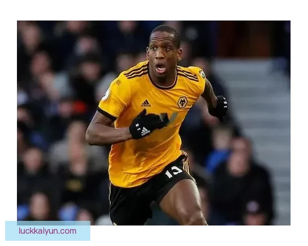 葡萄牙转会利润分析：市场动向与俱乐部财务状况持续回暖